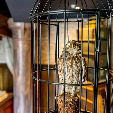 The Enchantment Chamber * يورك